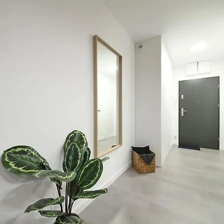 Wroclaw! Urocze Studio! * Breslau